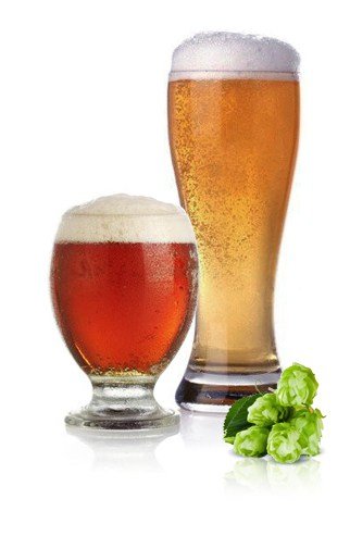 craft beer